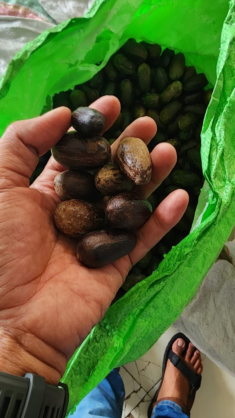 Hasil bumi dari kelompok dampingan